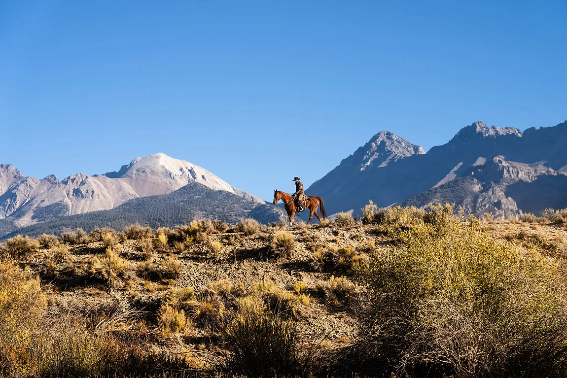 Rocky mountains photography workshop idaho usa october 2025