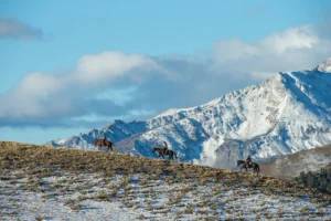 Rocky mountains of idaho photography workshop usa october 2025