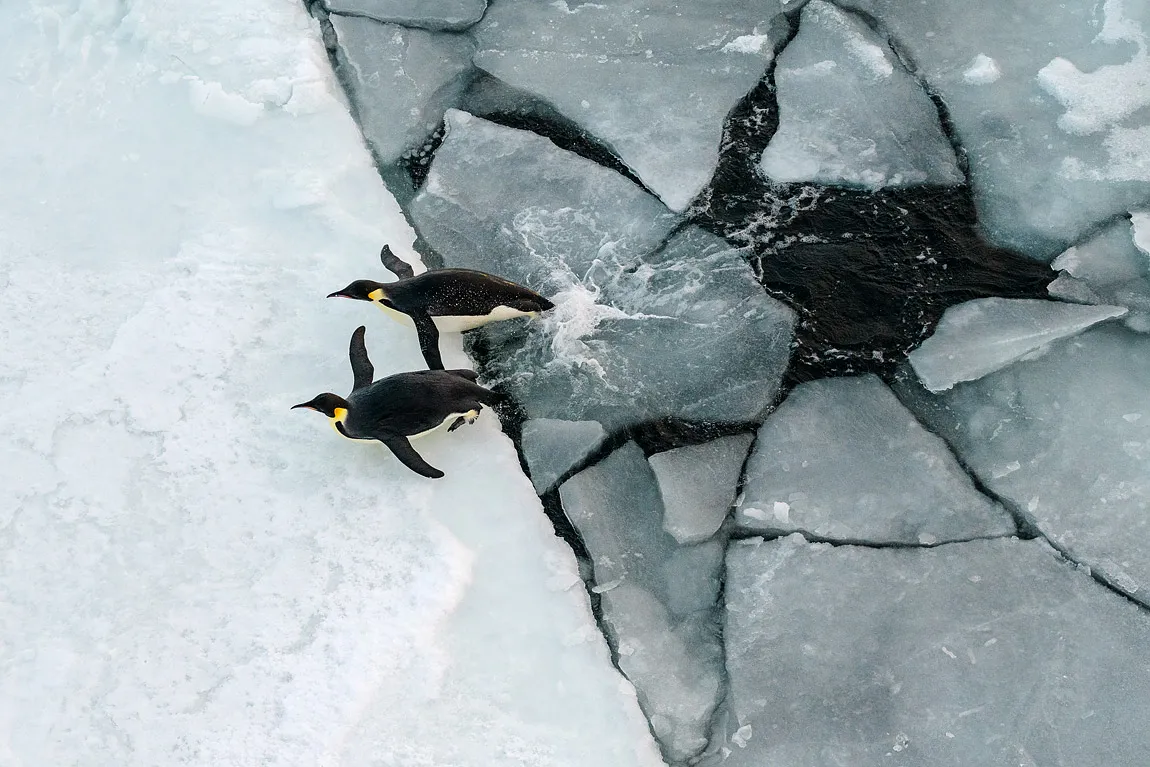 Antarctica photography expedition february 2026