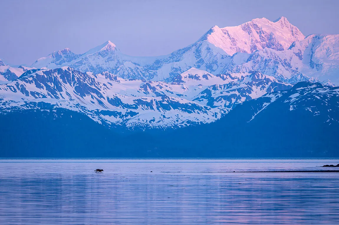 Glacier bay national park photo tour alaska usa june 2025